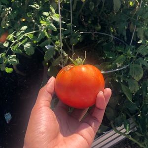 Meet your Posher, Kavari